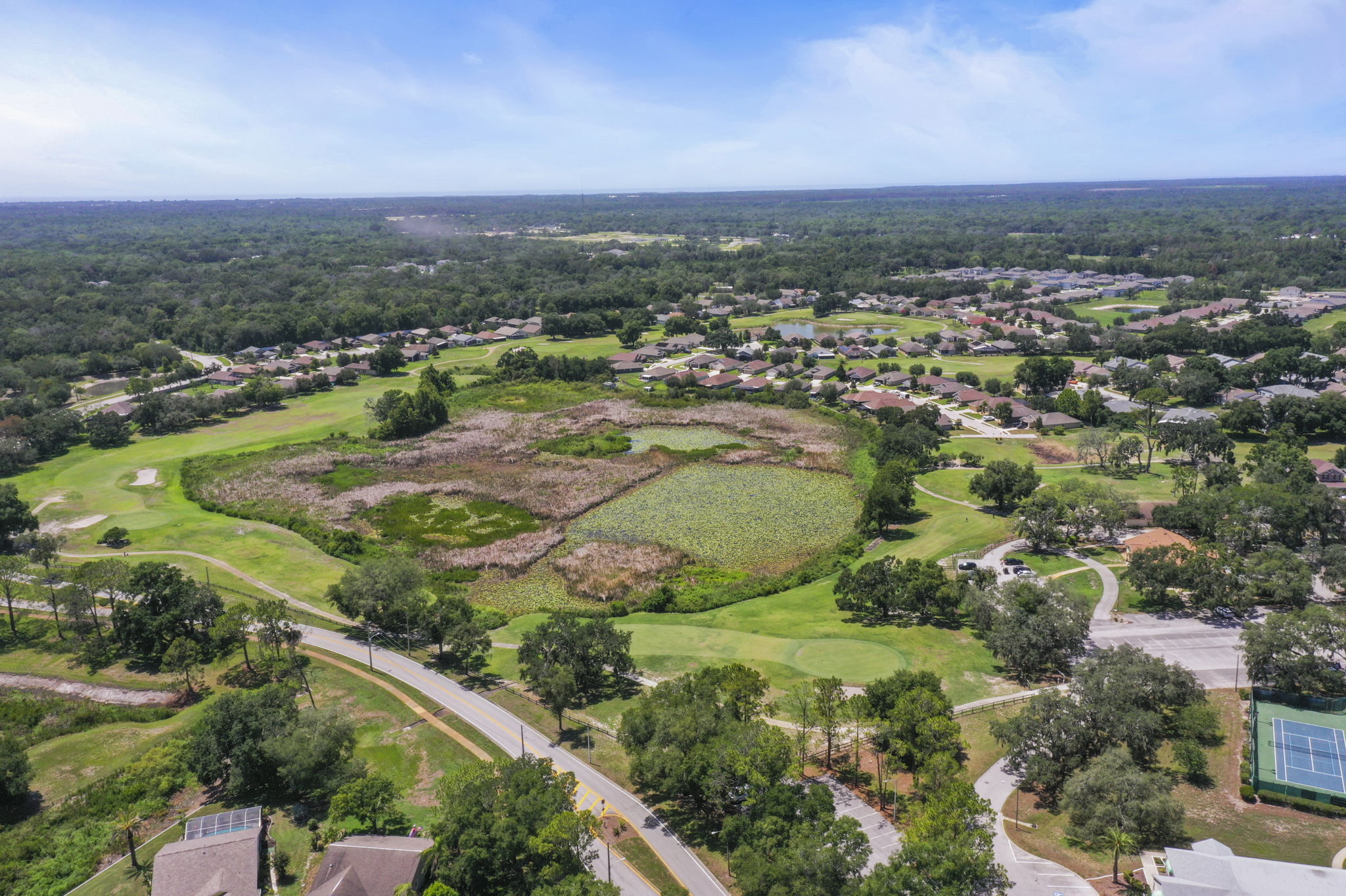 Community Golf Course Drone - DJI_0055