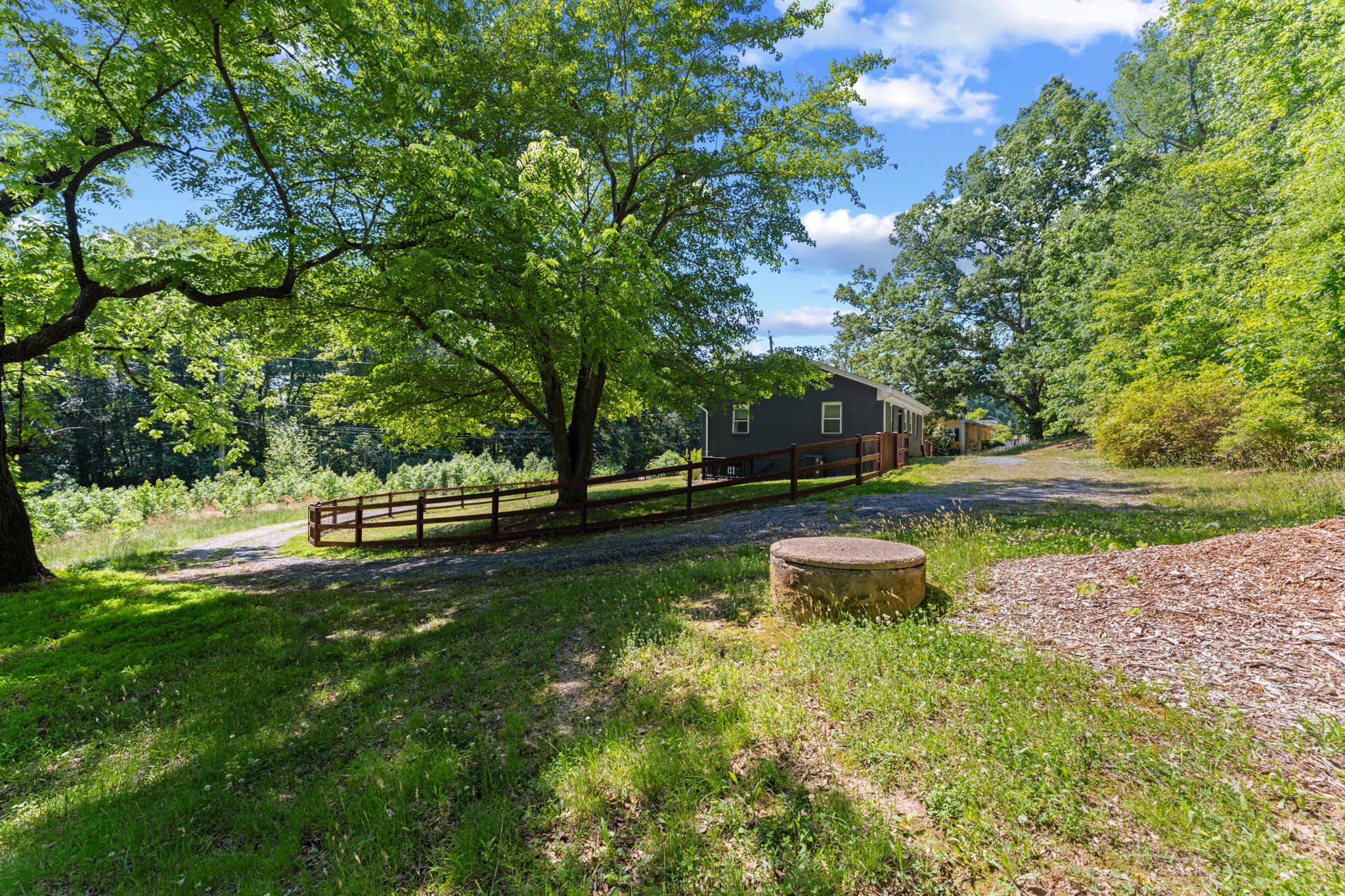 Exterior - Back yard