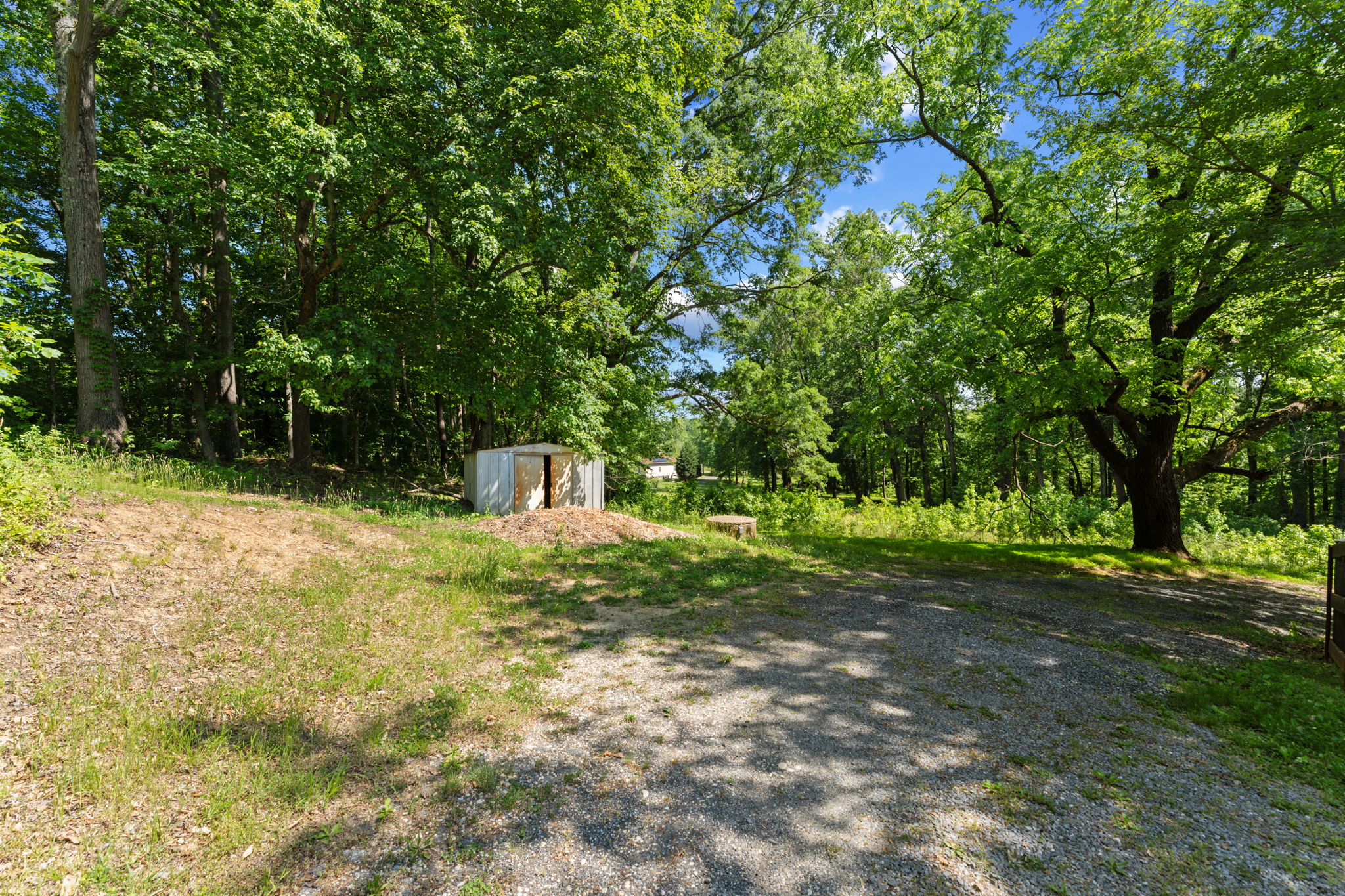 Exterior - Back yard