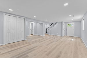 Basement - Family Room