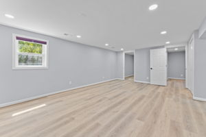 Basement - Family Room