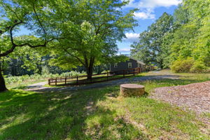 Exterior - Back yard