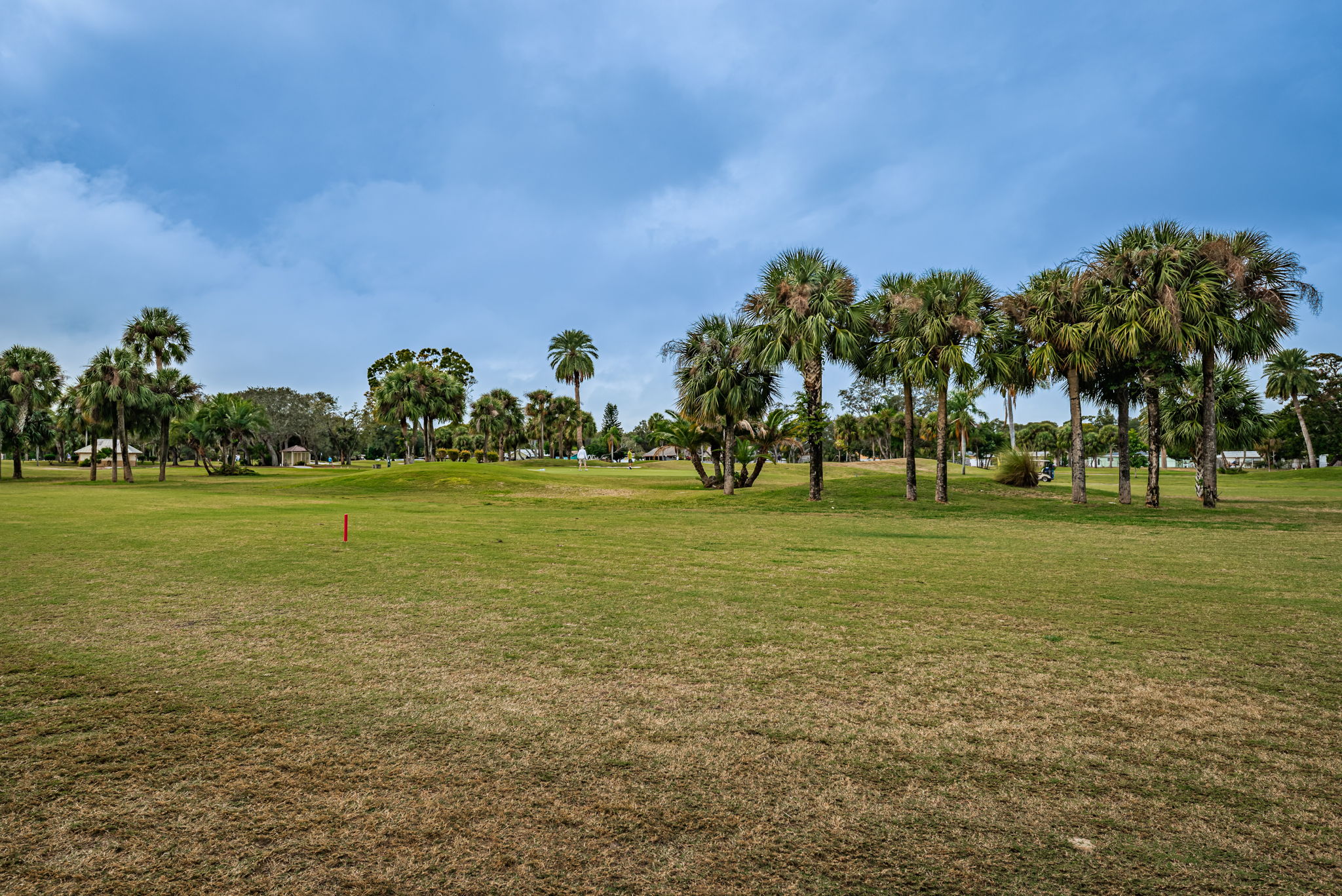 Golf Course 4