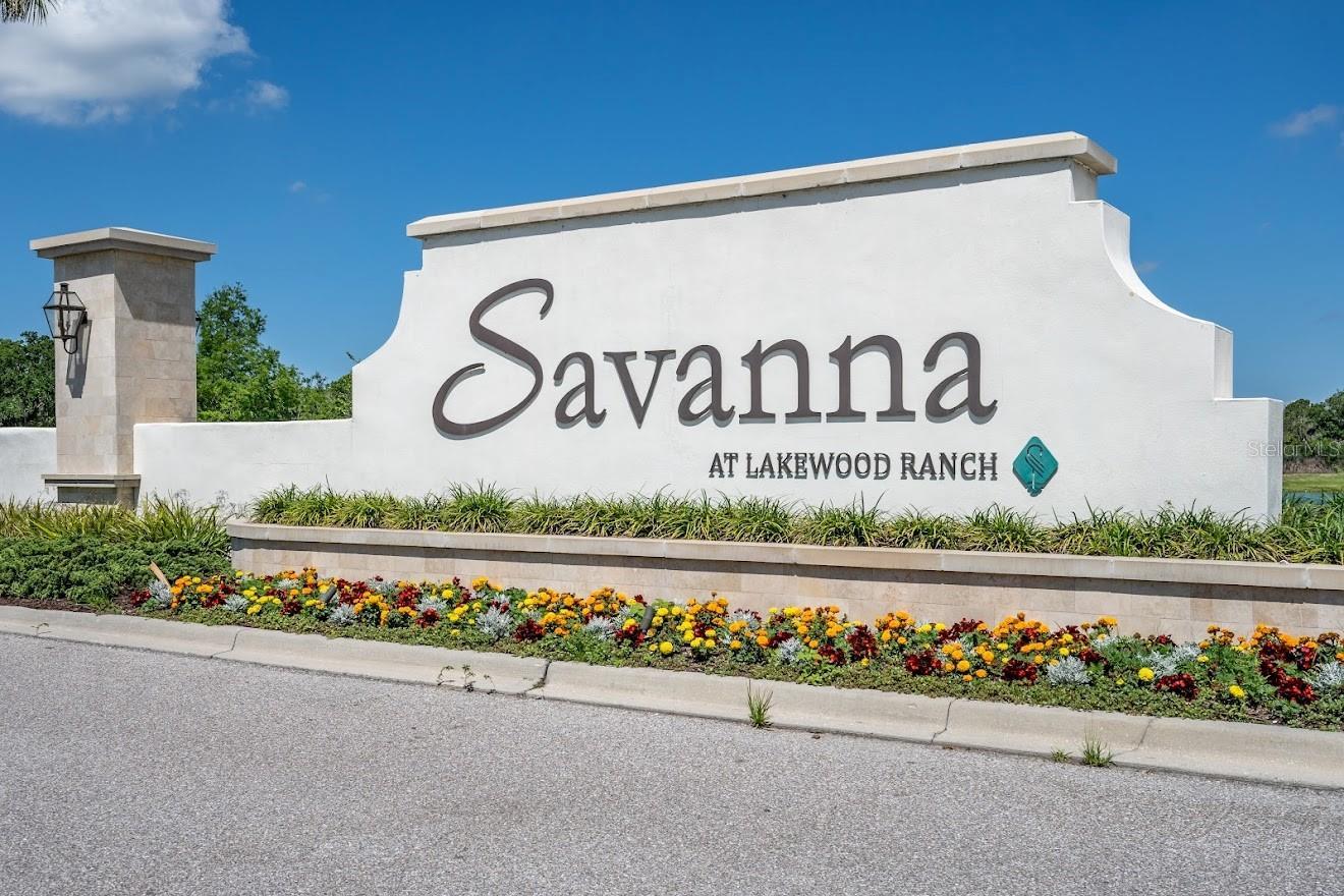 savanna