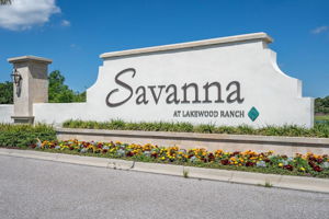 savanna