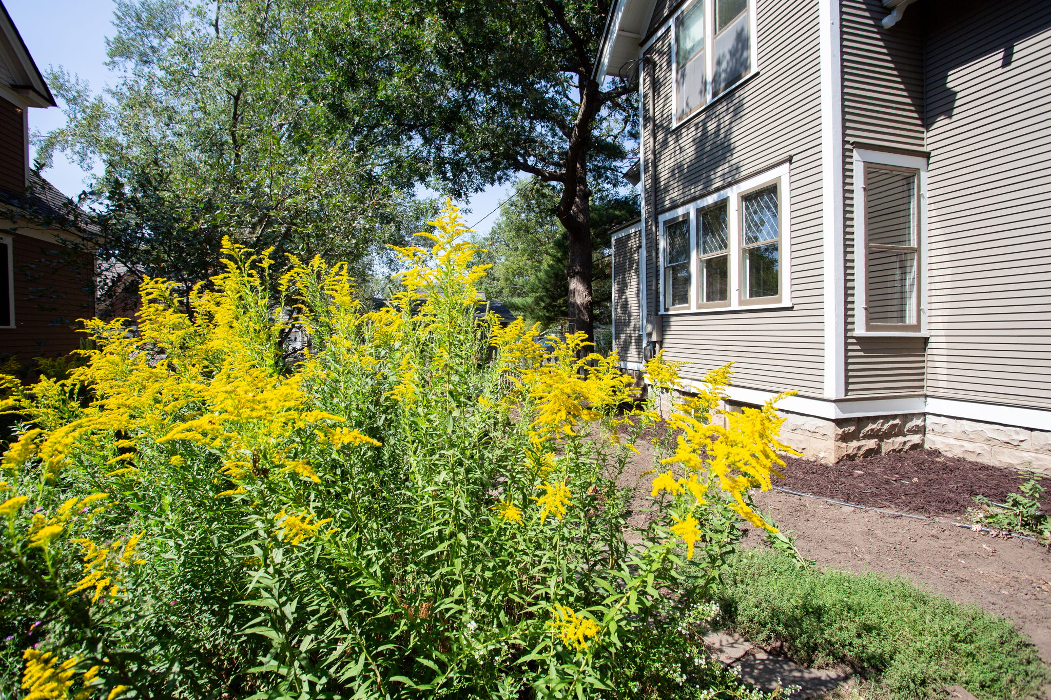  Photo 41