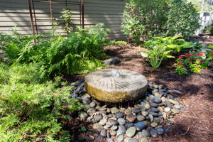  Photo 36