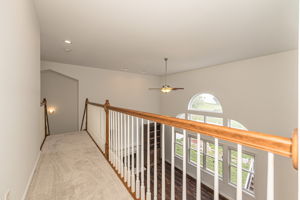  Photo 38