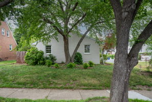  Photo 47