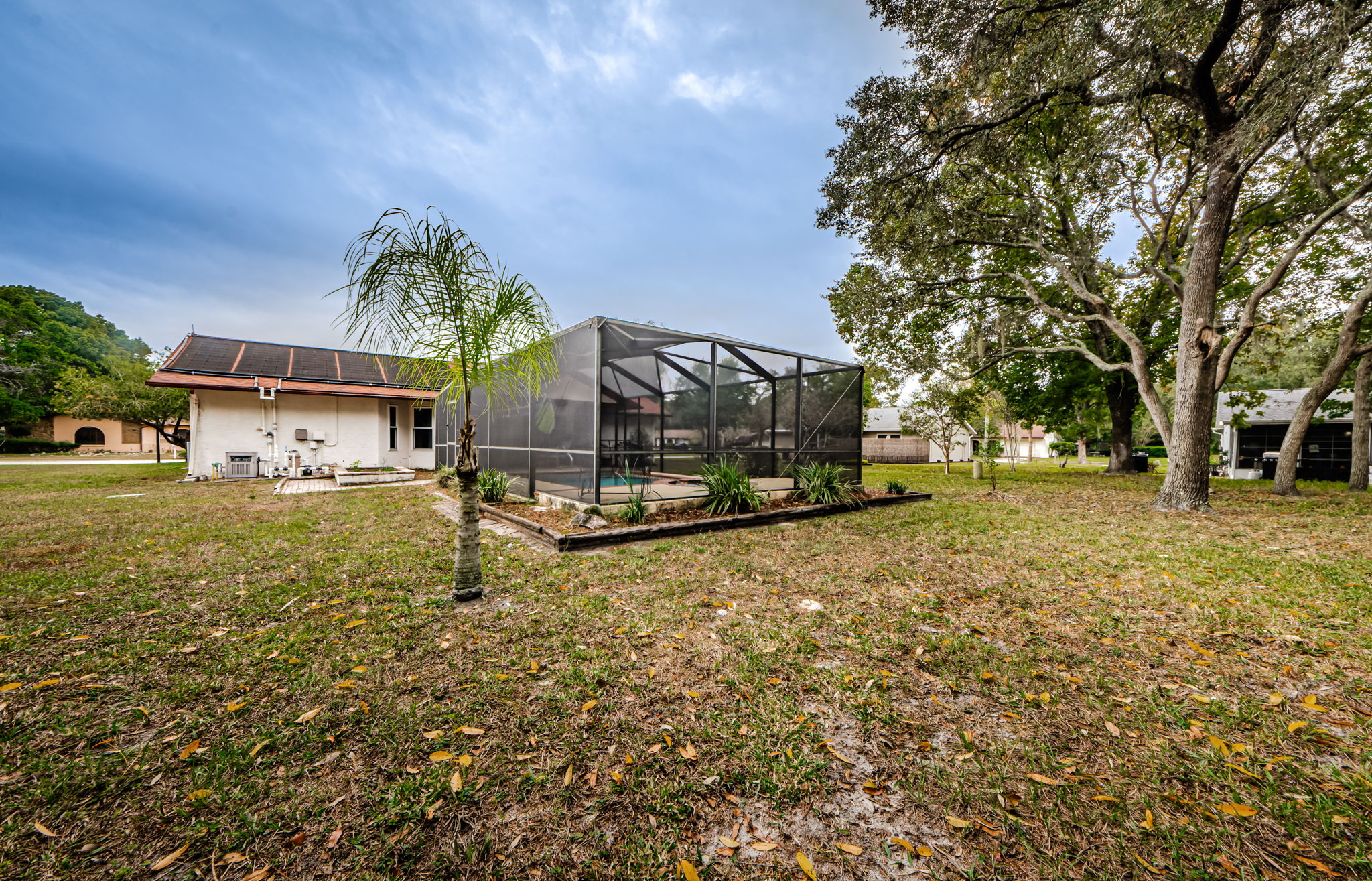 Backyard 3
