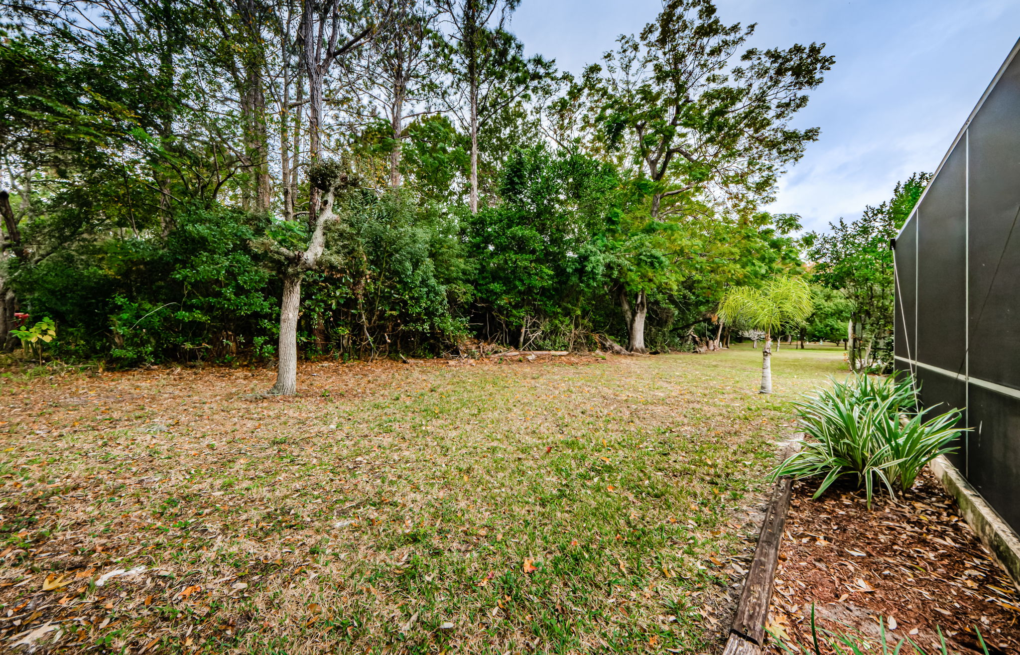 Backyard 2