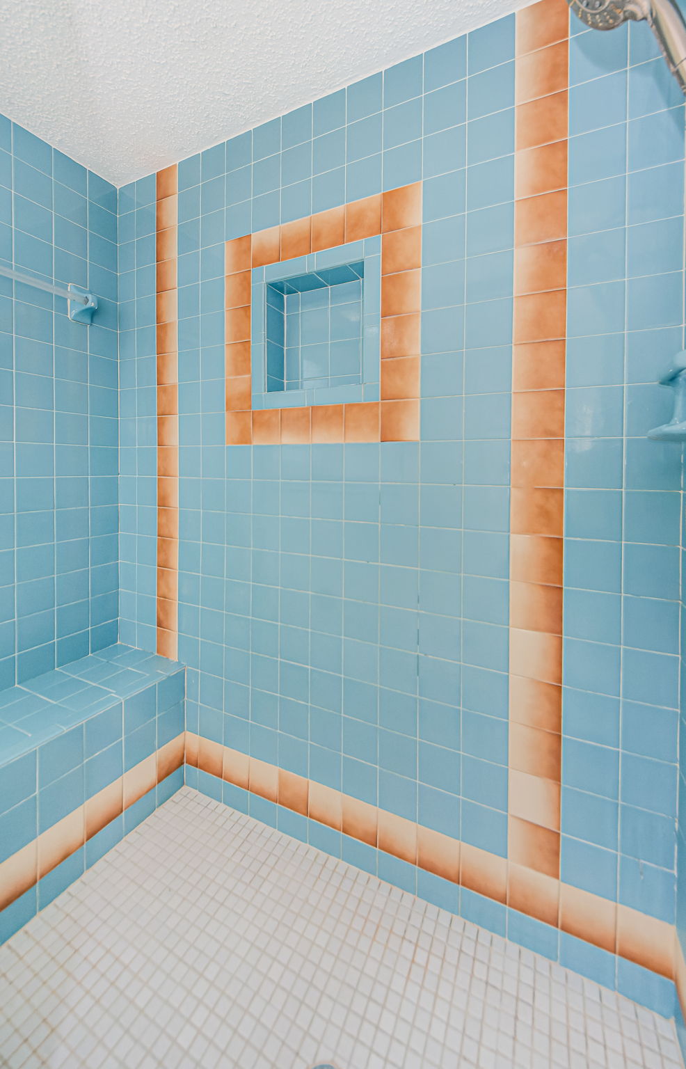 Master Bathroom 1b