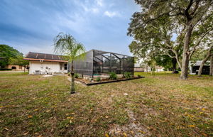 Backyard 3
