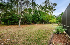 Backyard 2