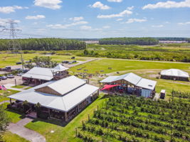 DJI_0667