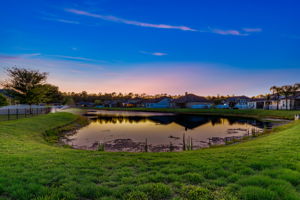 Twilight View