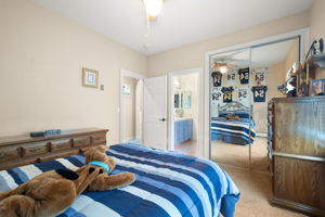  Photo 48