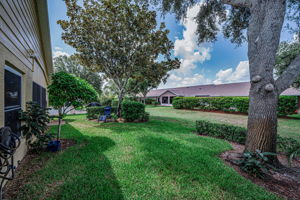 Backyard2
