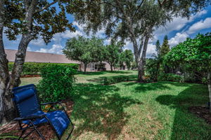Backyard4