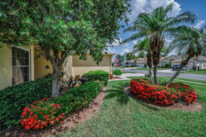 Frontyard