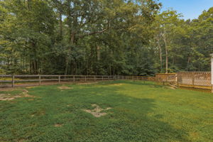 34-Backyard