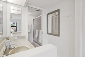 Primary Bathroom 1-2