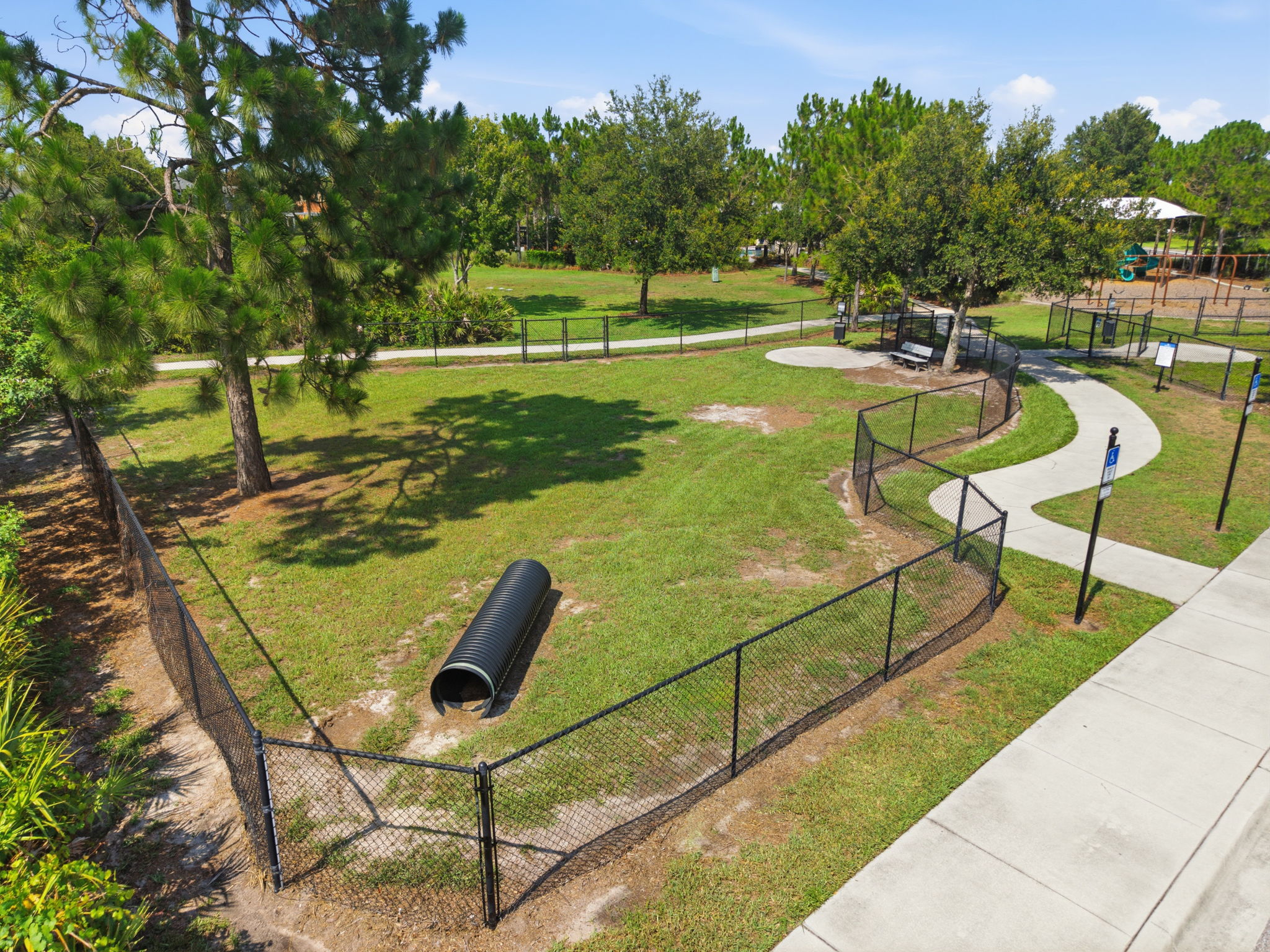  Photo 65