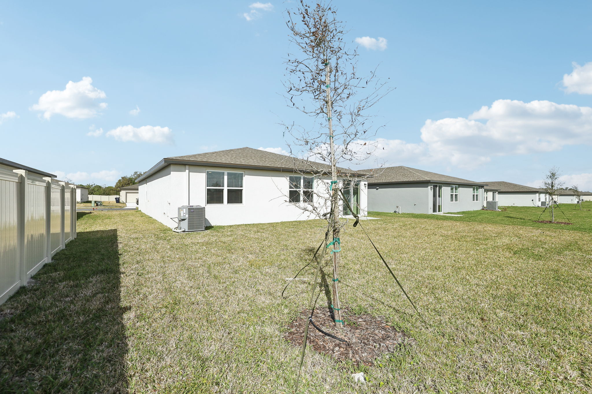 Tampa Division - Reserve at Van Oaks - Lot 0202 - 1324 Oak Valley Drive - 032