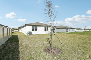 Tampa Division - Reserve at Van Oaks - Lot 0202 - 1324 Oak Valley Drive - 032