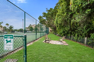Dog Play Area