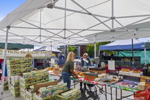 Thursday Farmers Market