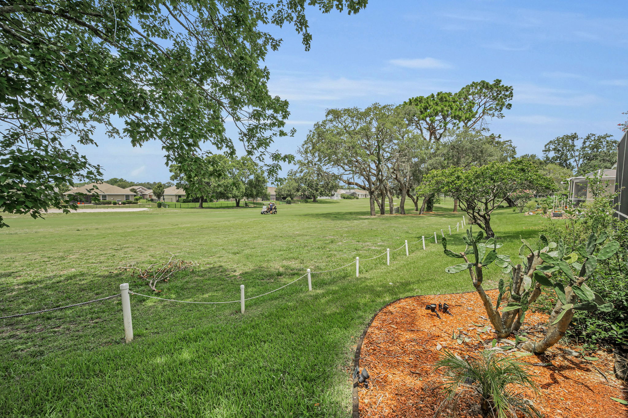 Backyard1