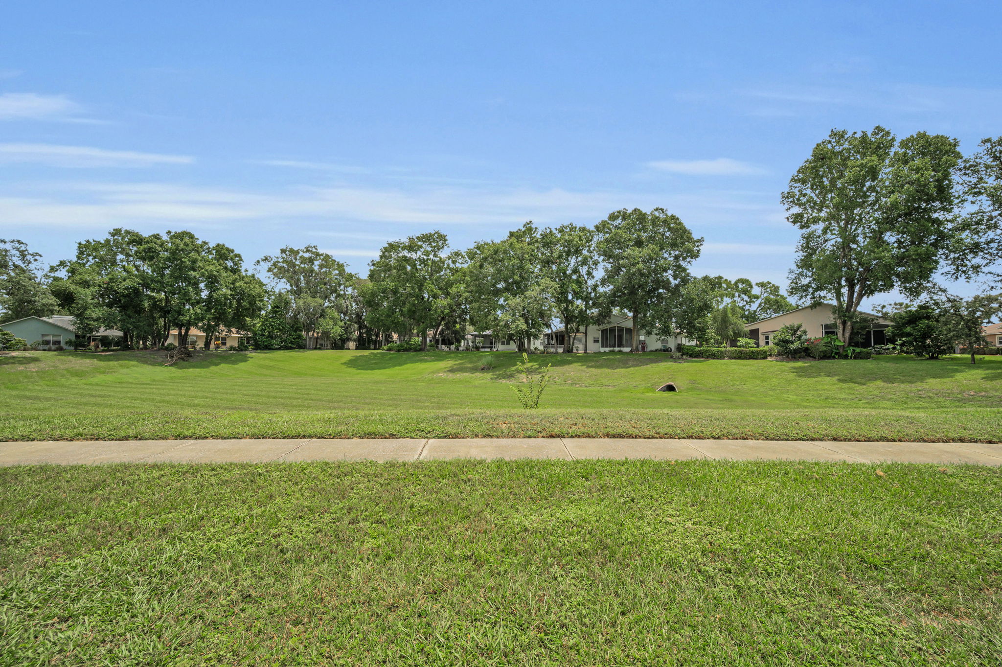 Frontyard2 View