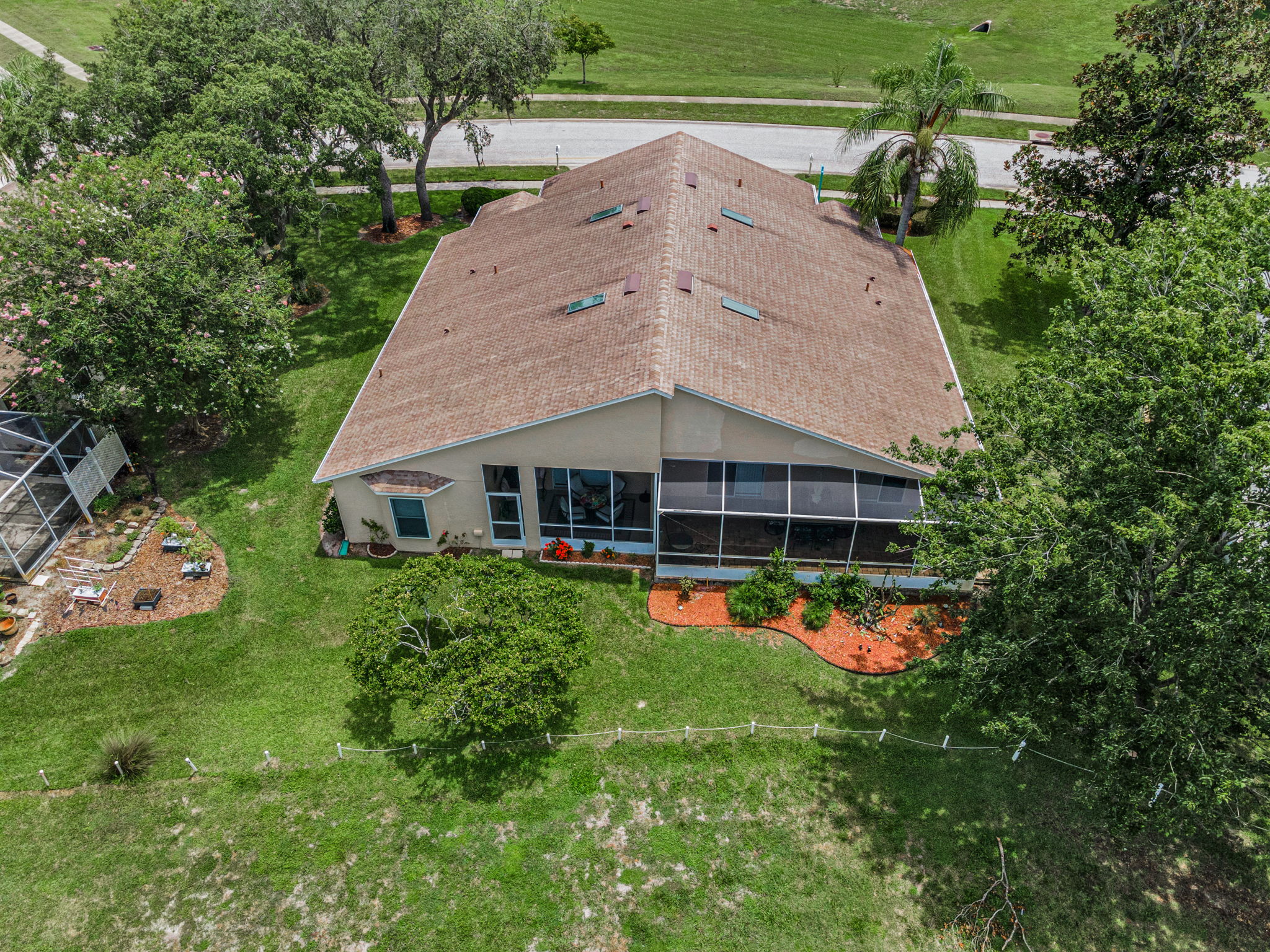 Aerial (17)