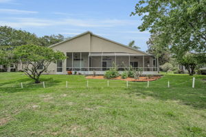 Backyard3