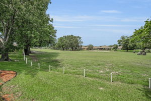 Backyard5a