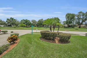 Frontyard1