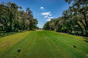 Golf Course28