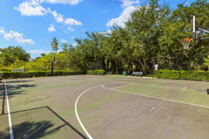 Basketball Court