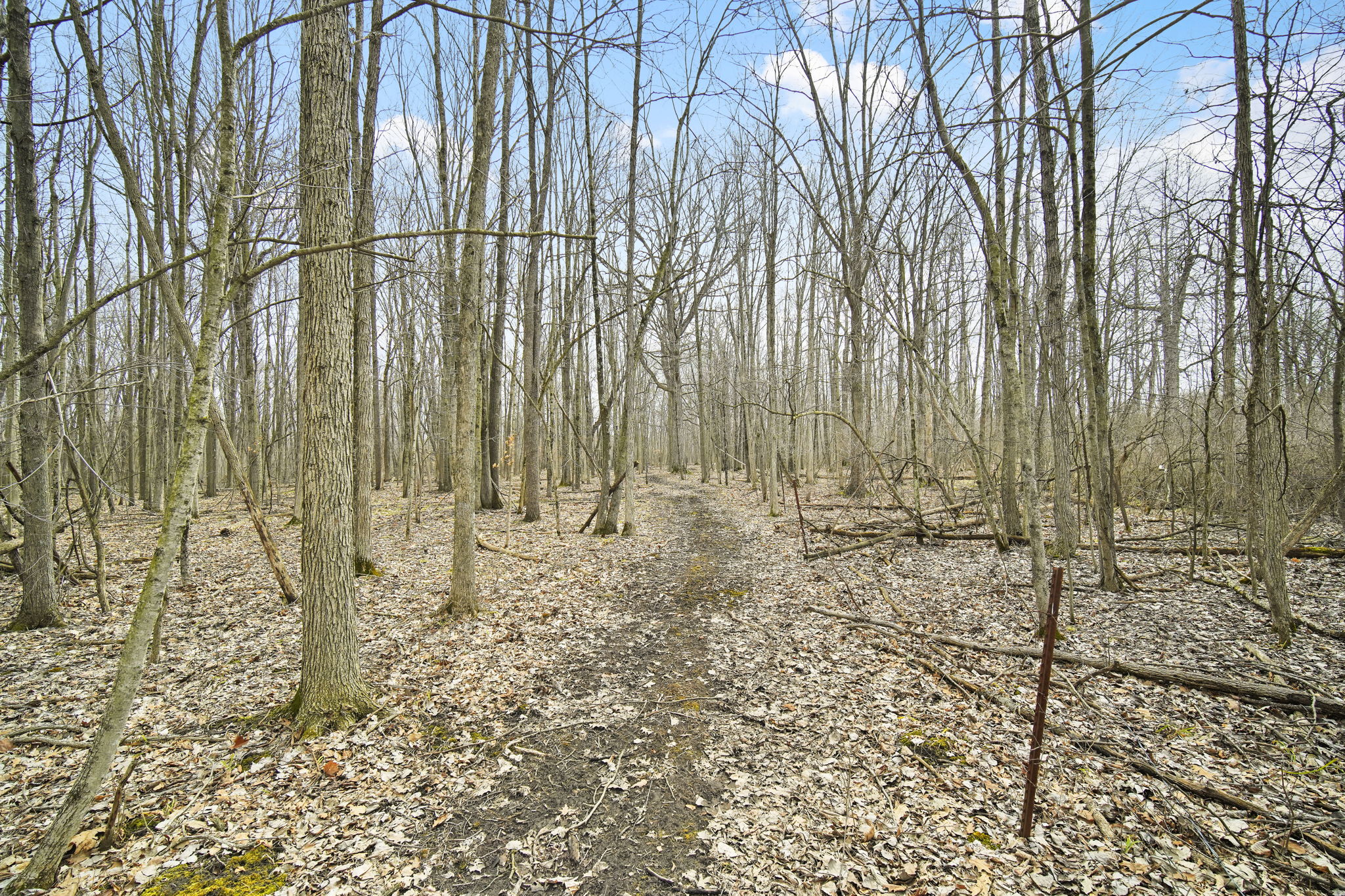  Photo 45
