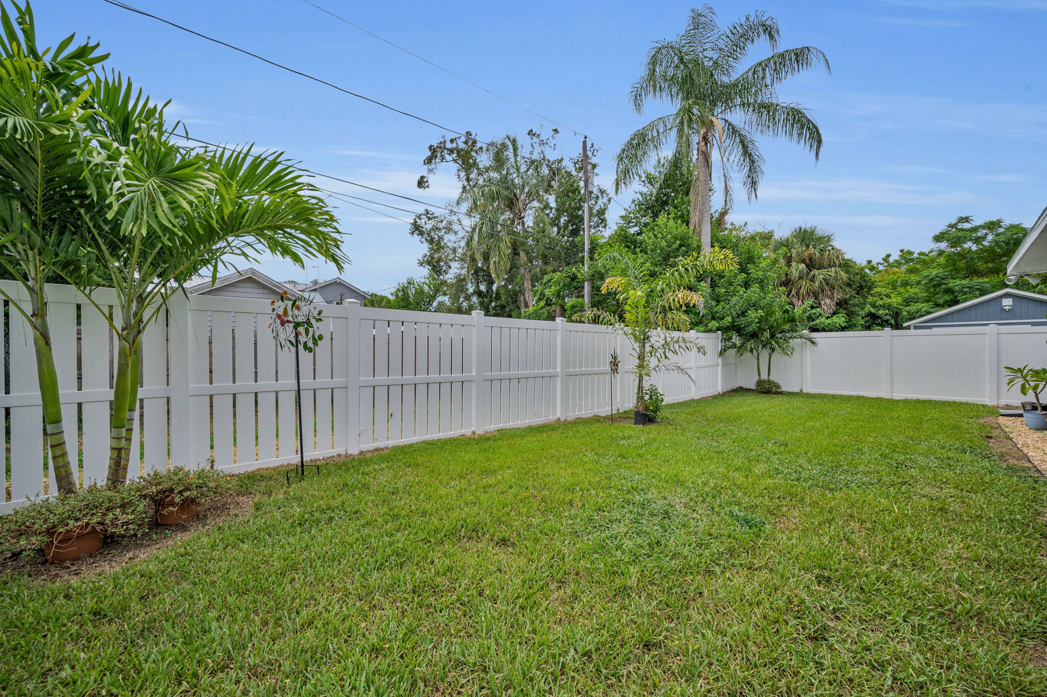 Backyard1