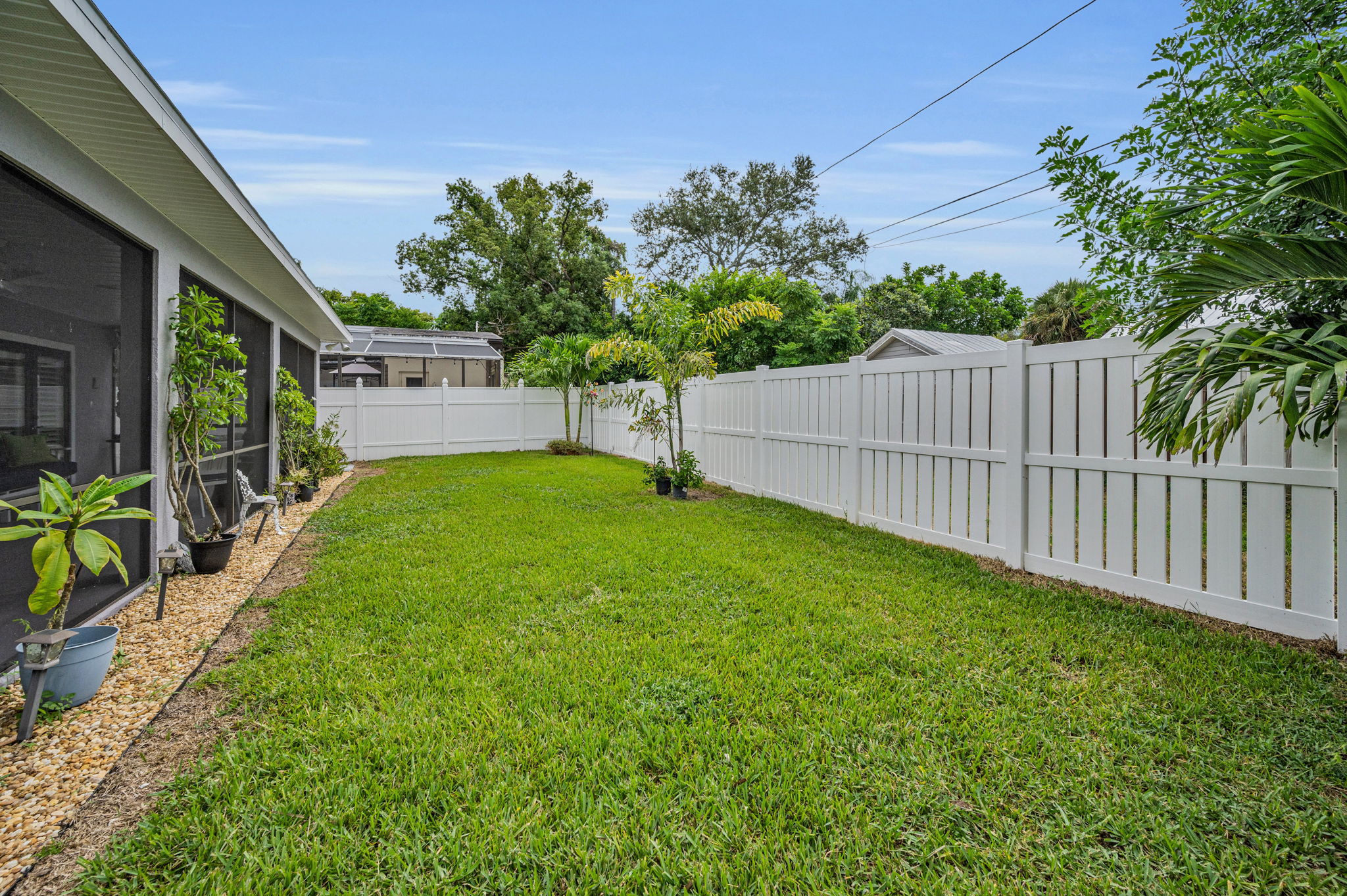 Backyard5
