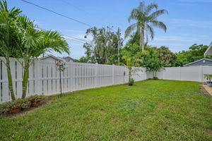Backyard1