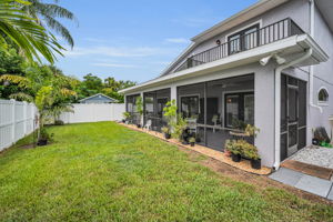 Backyard2