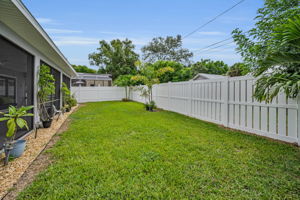 Backyard5