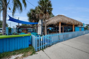 Downtown Palm Harbor9b