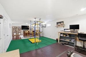  Photo 43