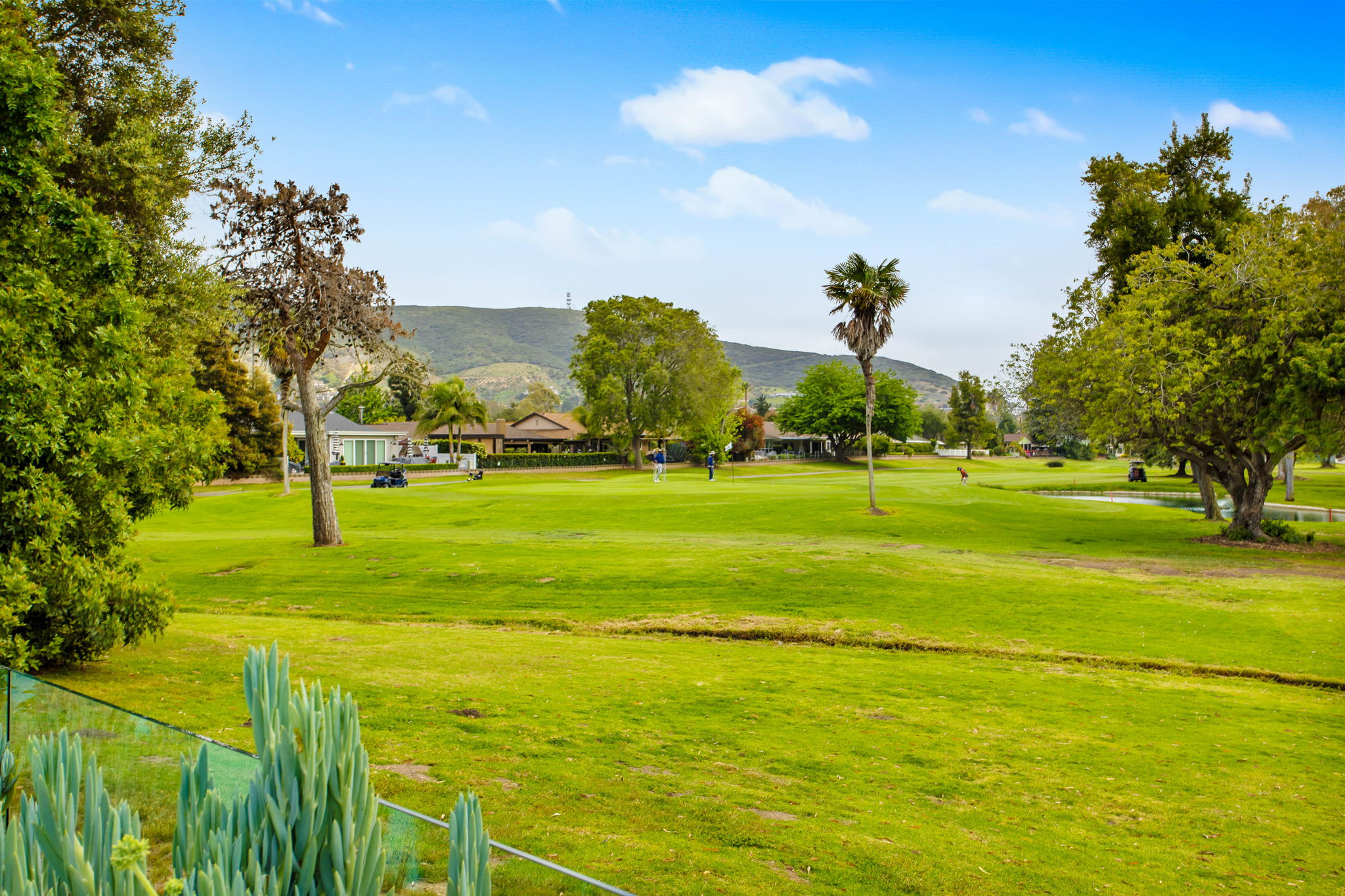 San Pablo 50