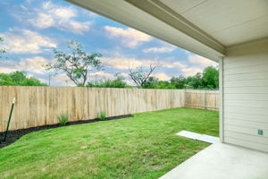 Back Yard