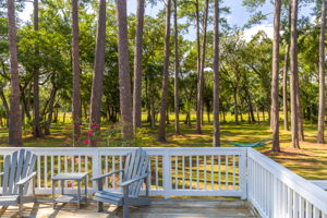  Photo 39